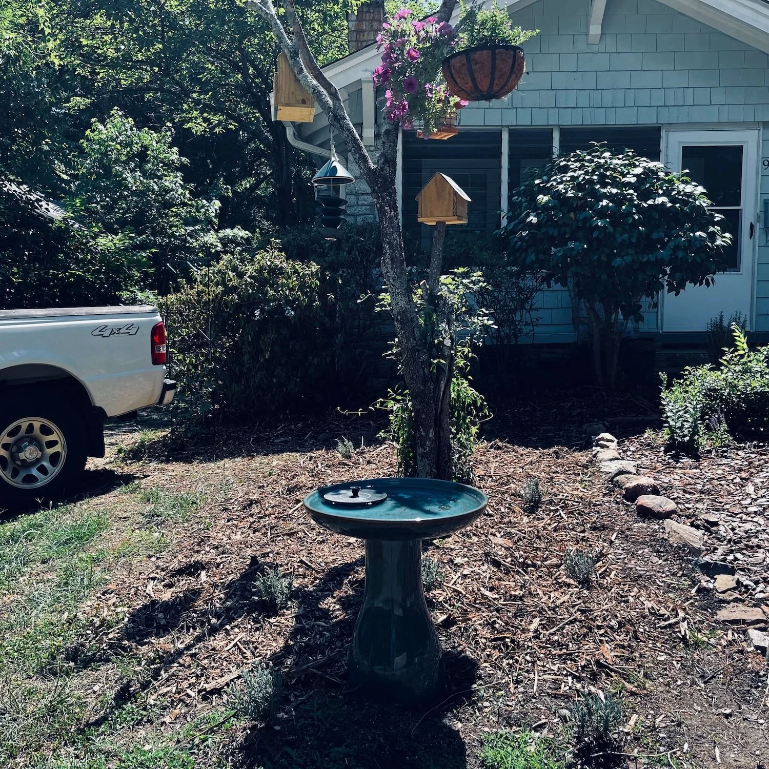 Too Mulch?