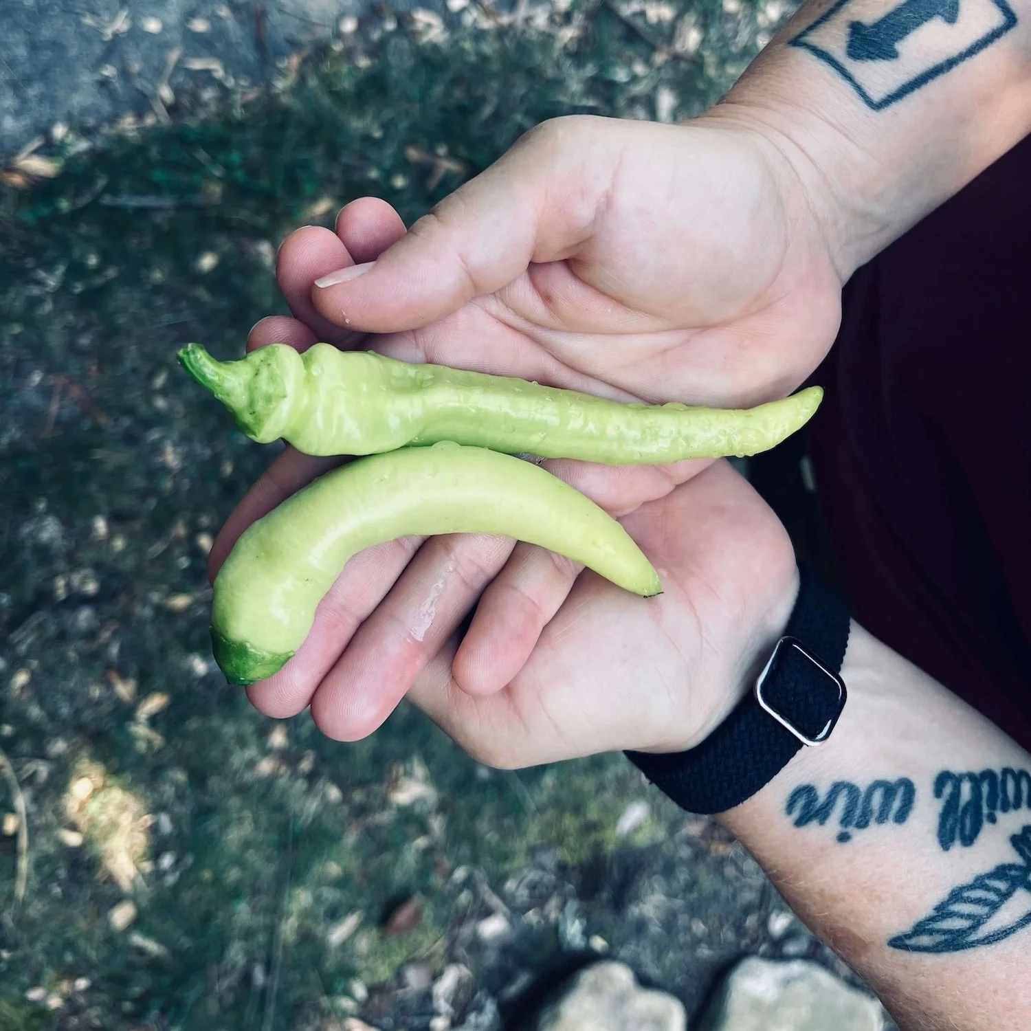 Behold, Our Bounty