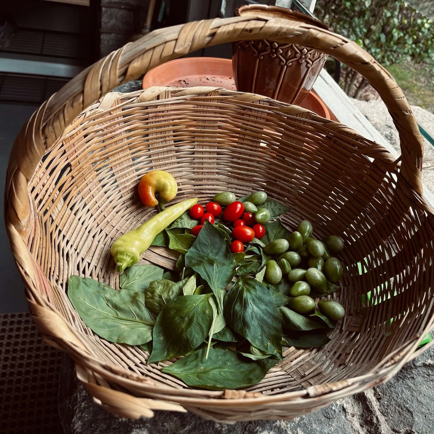 Small harvest of freshly picked garden produce inside a woven wicker basket, including pepper leaves, small red and green grape tomatoes, and banana peppers on a Greensboro, NC bungalow porch.