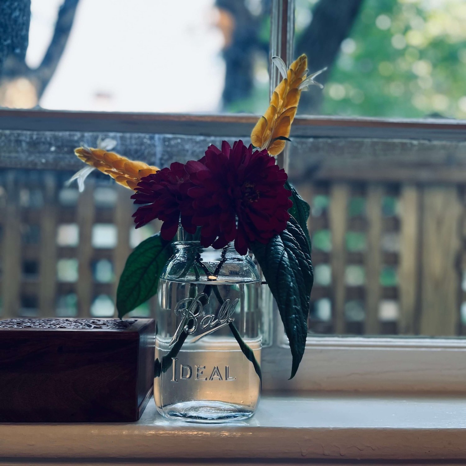 A small summer bouquet of deep red zinnias and yellow shrimp plants in a vintage glass Ball Ideal mason jar, sitting on the white window sill of a historic Greensboro craftsman bungalow.