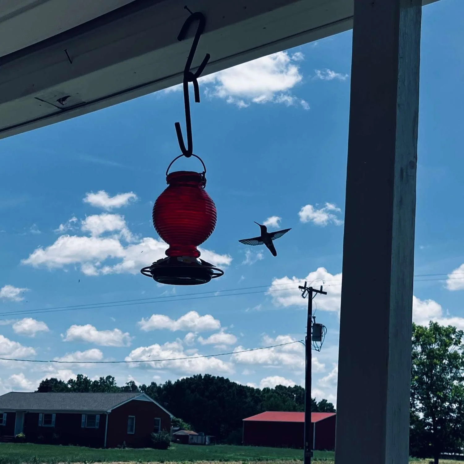 A Ruby-throated hummingbird captured mid-flight, silhouetted against a bright blue sky with fluffy white clouds, as it approaches a red glass hummingbird feeder hanging from a porch roof in Gibsonville, North Carolina.
