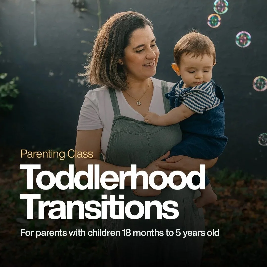 Toddlerhood Transitions
