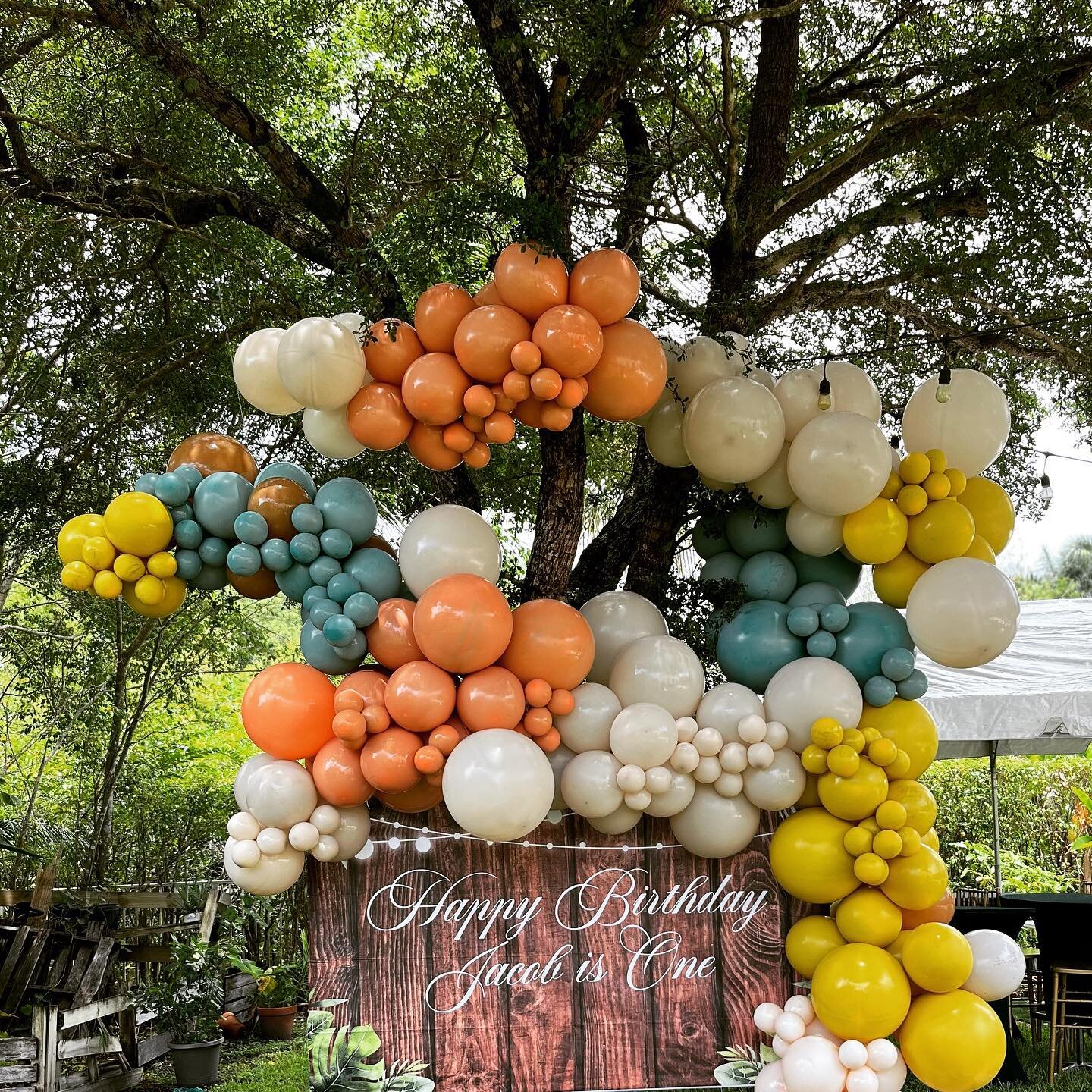 A 'Wild One' birthday celebration outdoors. Our whimsical balloon installation in this large backyard tree,set the perfect backdrop for this jungle theme. 
Let the wild rumpus begin! 🦁🌳
#wildonebirthday 
#JungleAdventure 
#OneYearOld
#balloondecora