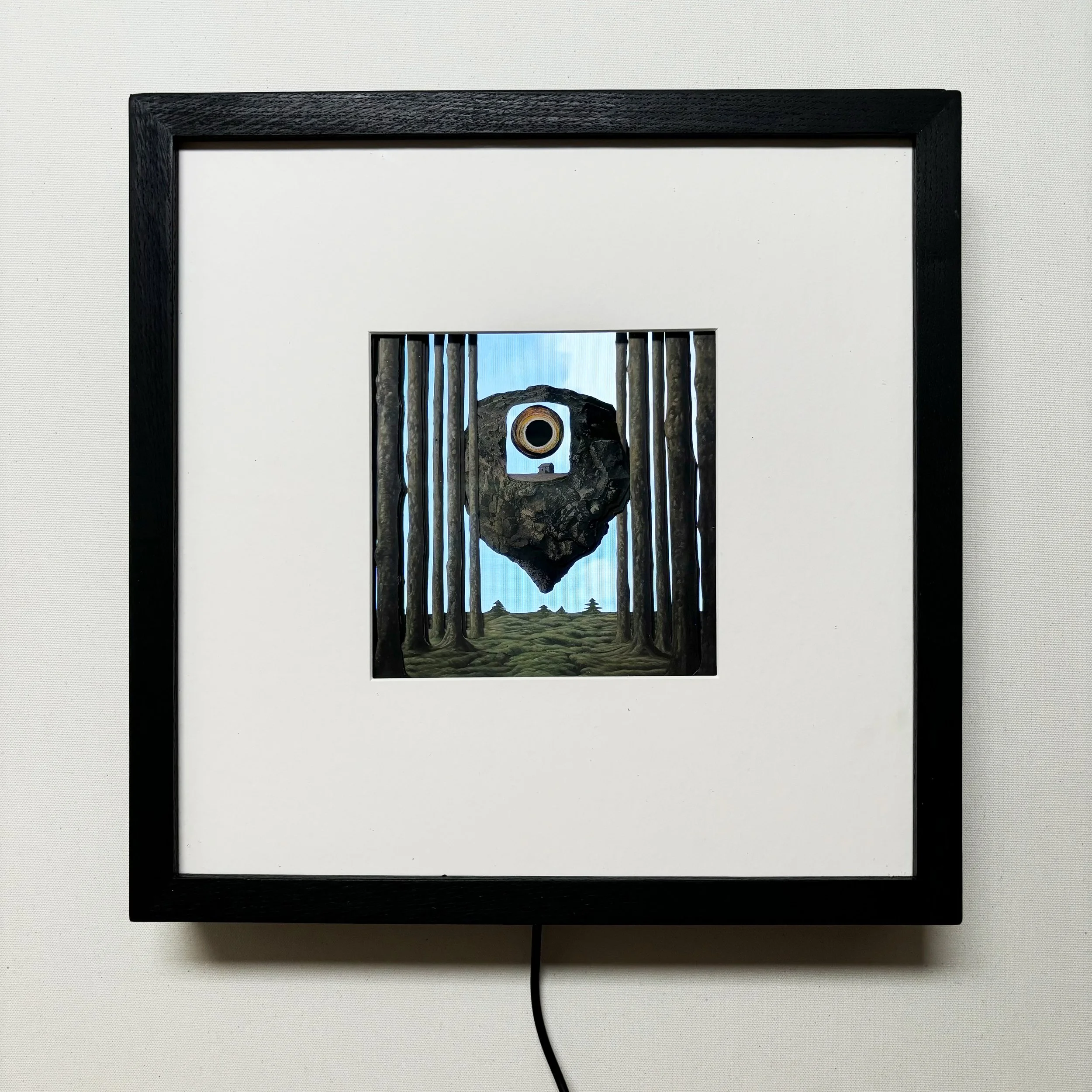 Merlijn van de Sande - Visualization of the invisible