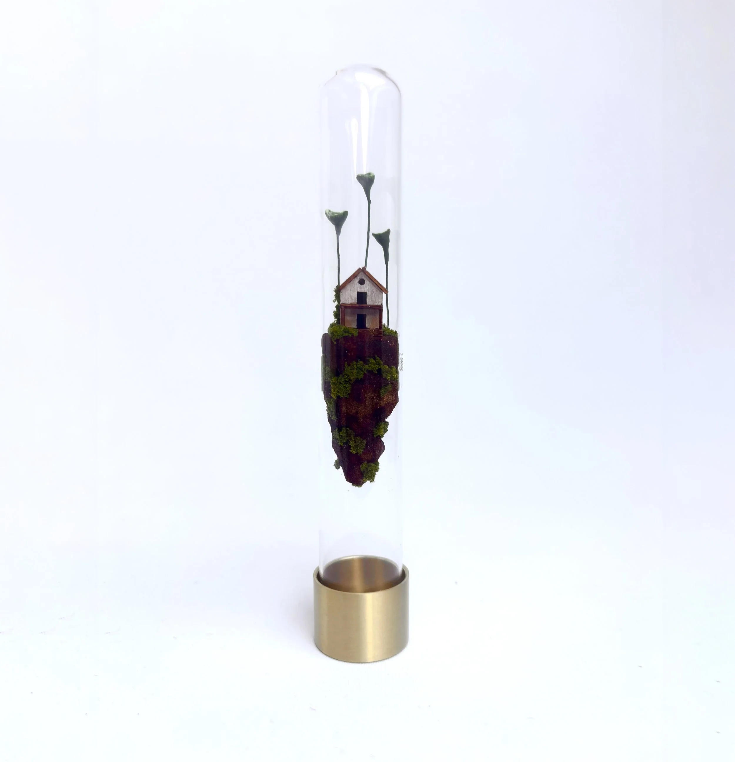 reliquary for a dream 4.0 vierkant.jpg