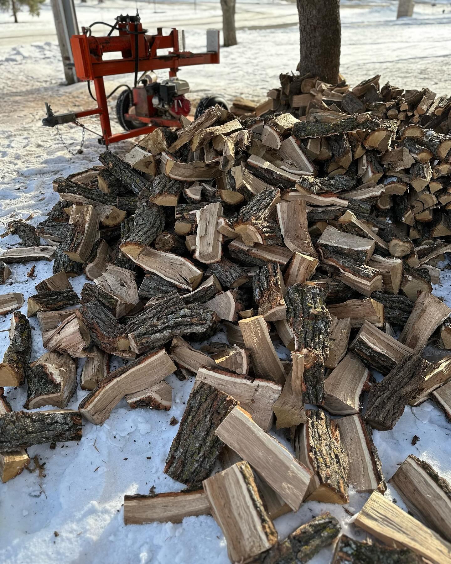 It was a busy day at the Rugged Wellness MN headquarters today! #choppingwood 

#ruggedwellnessmn