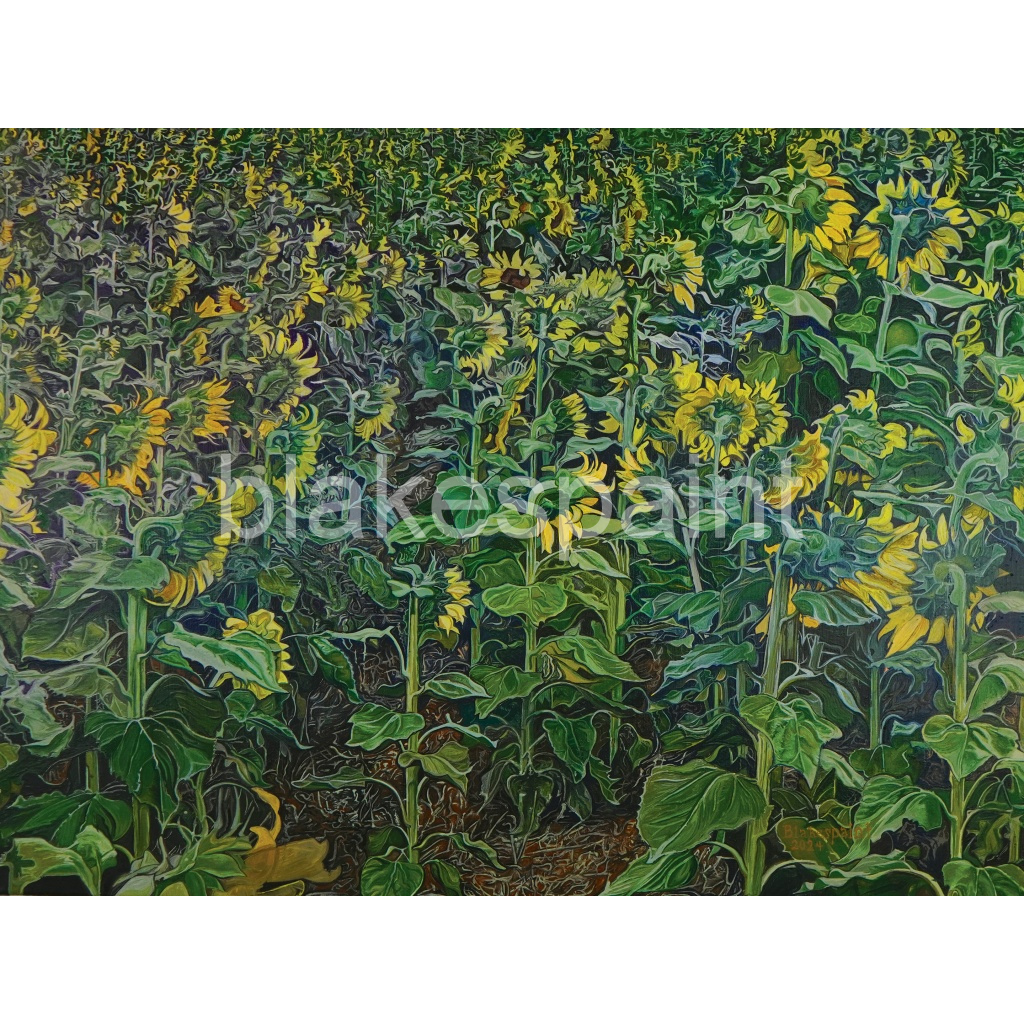 image_original_3736ccd311eca22ff9c3cc5463887711.png