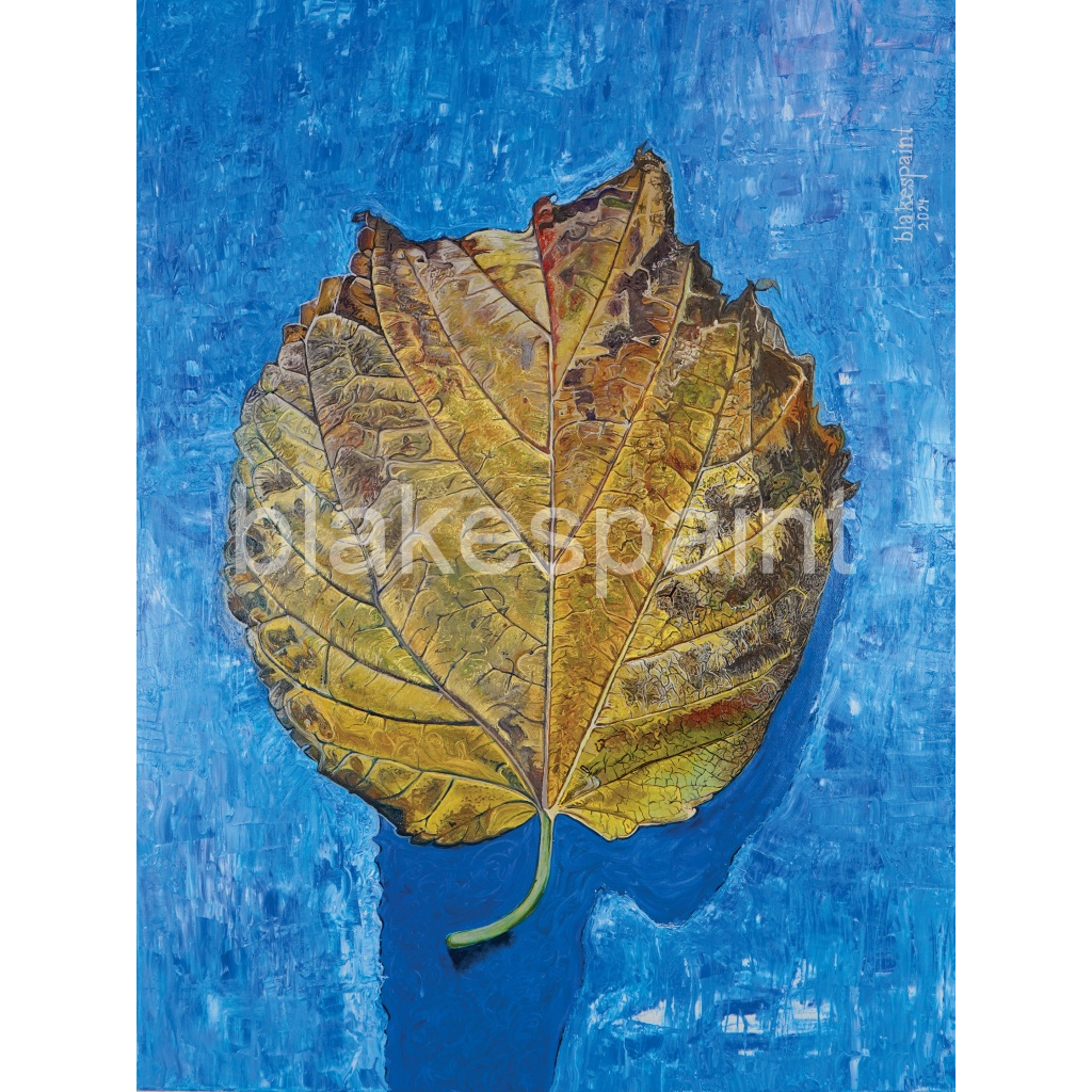 image_original_3736ccd311eca22ff9c3cc5463887711.png