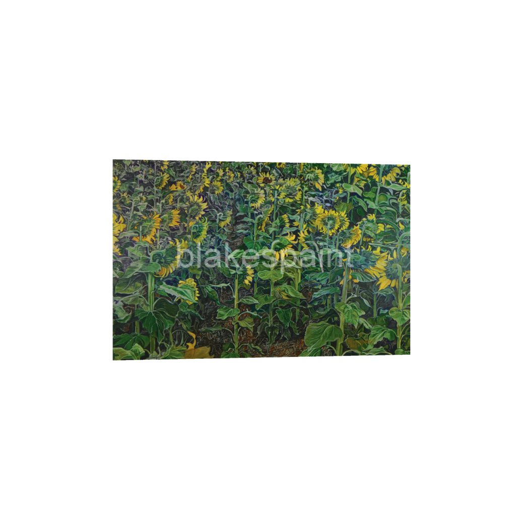 ptq_1_3_0_223_2880_1920_0_true_ffffff_3_3_3736ccd311eca22ff9c3cc5463887711.png