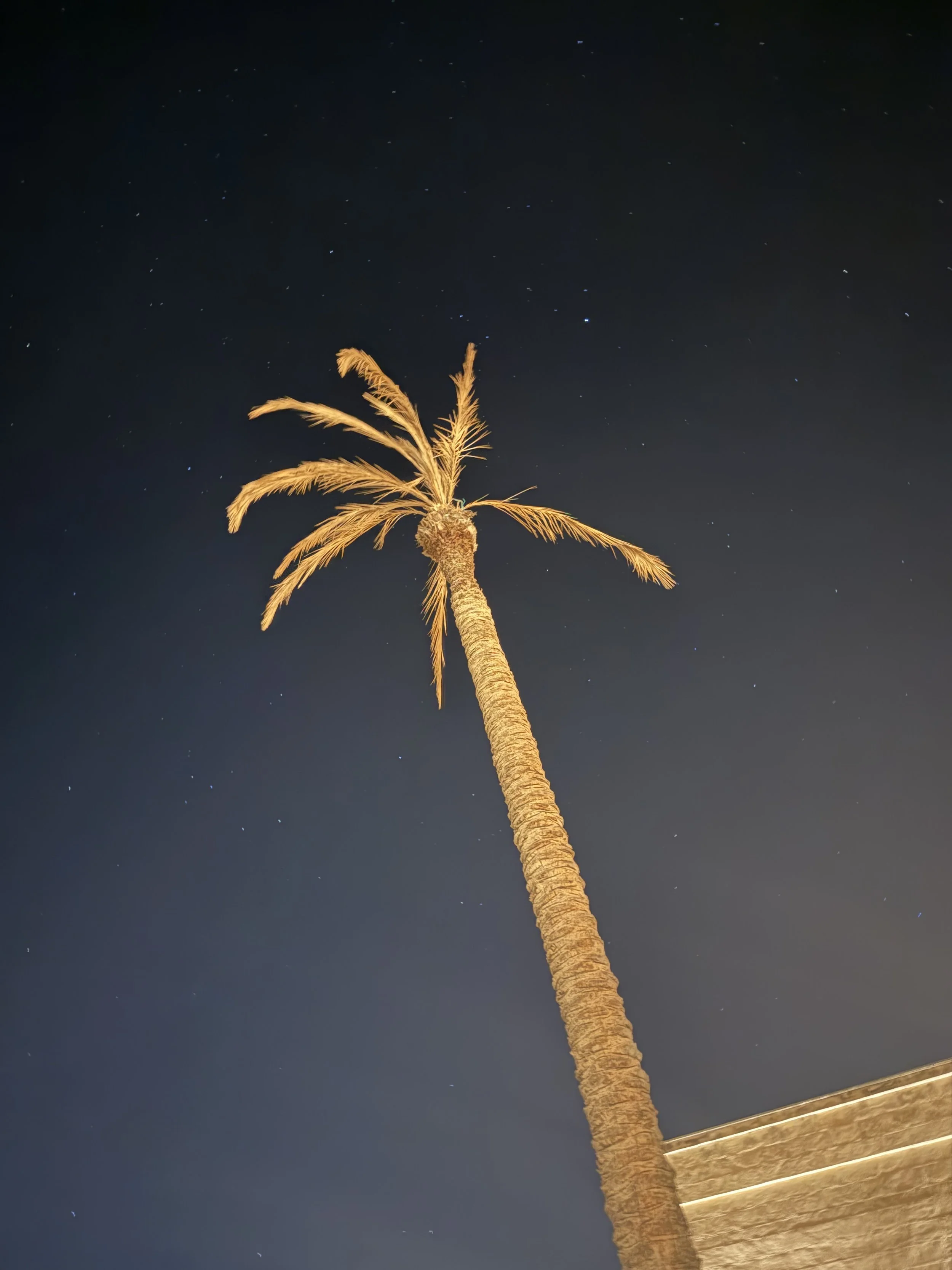 ROOV_Website_Roovmail_Italy-Puglia-Jen Johnson-Luxury Travel-11-Palm-Stars-Puglia-Night.jpg