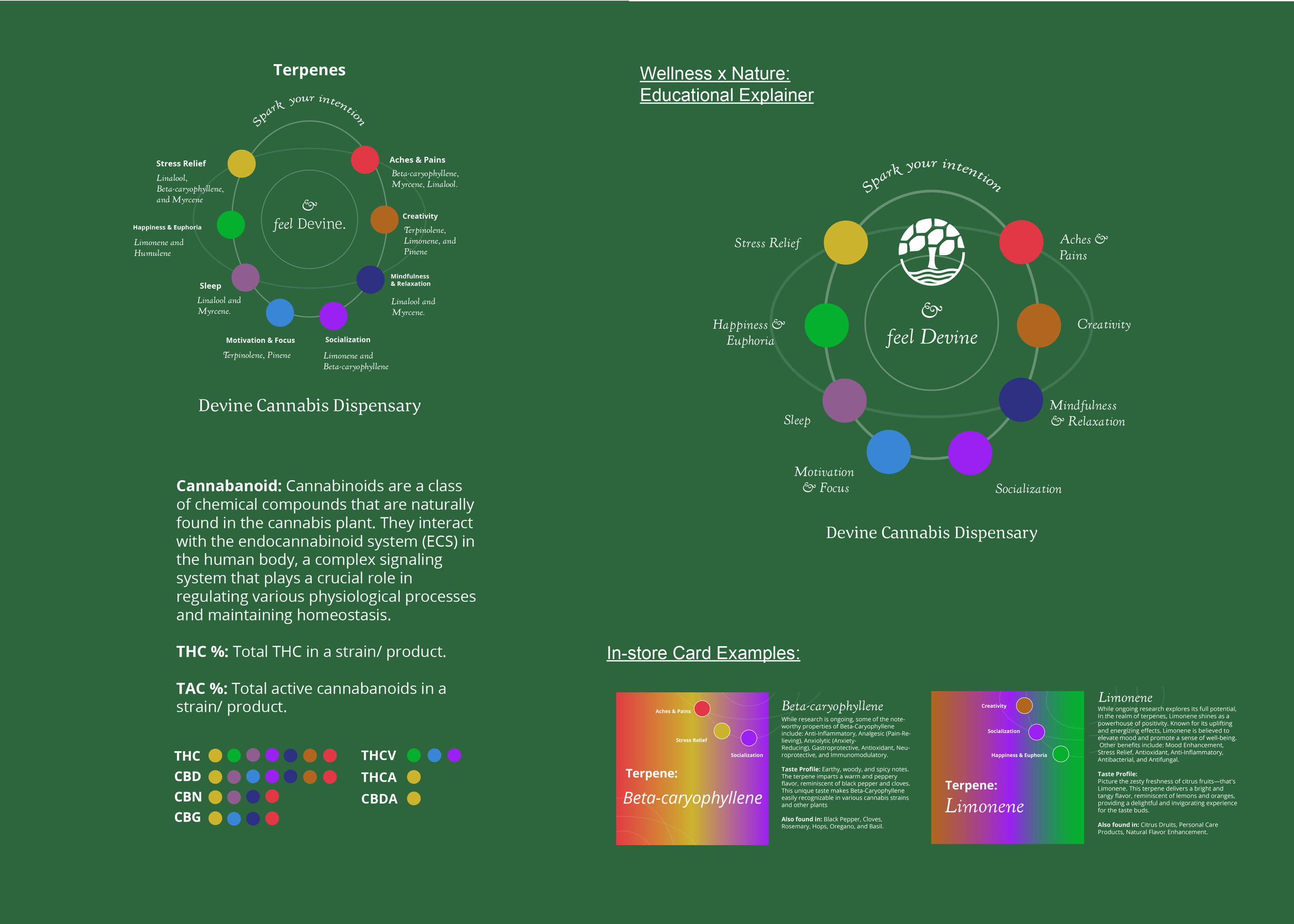 Devine_FINALBRANDGUIDELINES_2024-04.png