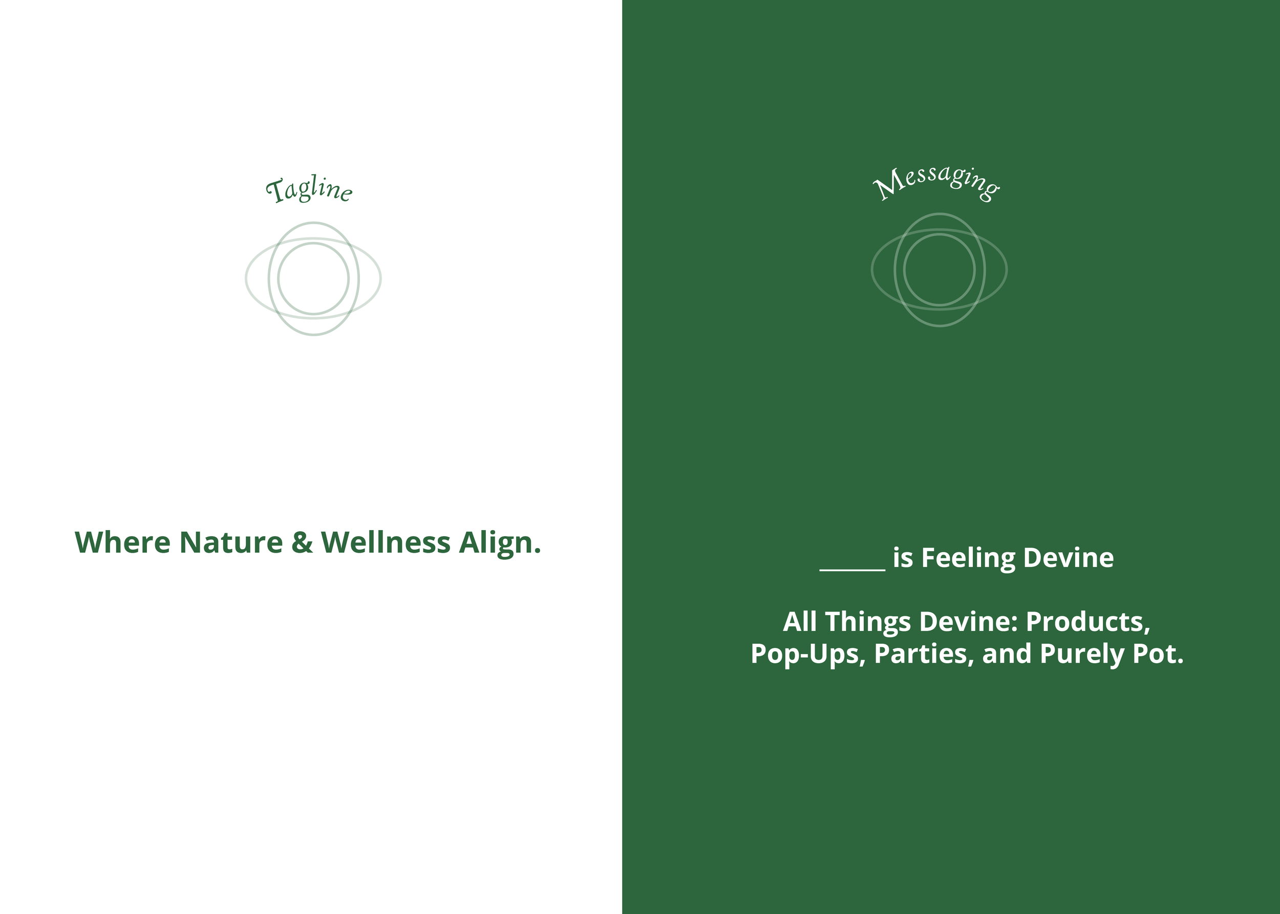 Devine_FINALBRANDGUIDELINES_2024-02.png