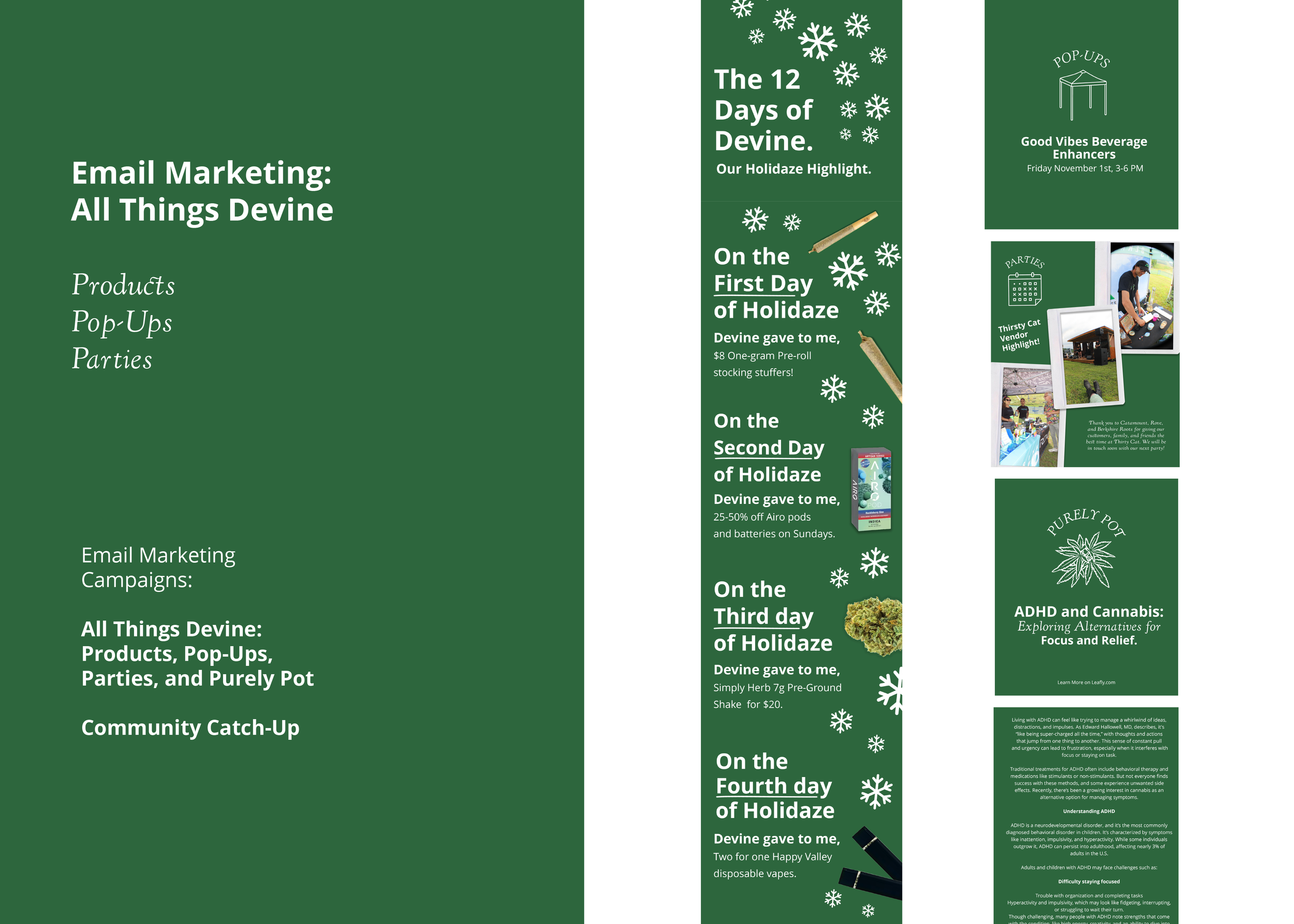 Devine_FINALBRANDGUIDELINES_2024-10.png