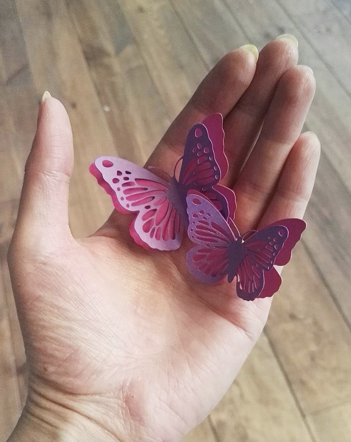 Papieren vlinders.png