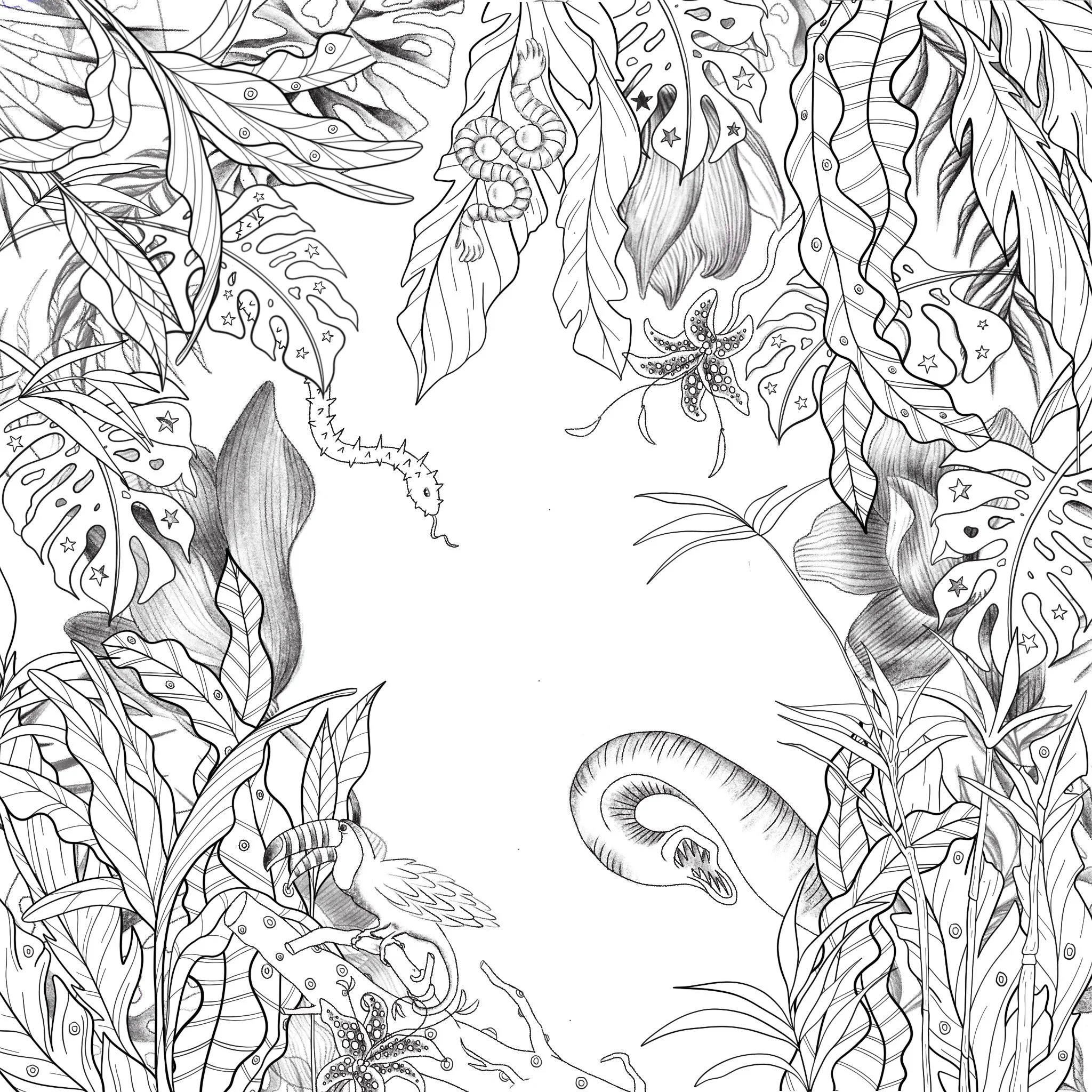 Jungle.jpg