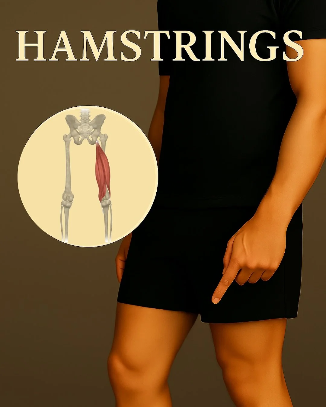 Tight hamstrings can hold your whole body back. Have you stretched yours today? 

 
 
#hamptonsstretch #hamptonswellness #hamstrings #stretchtherapy #wegotyourback #stretchhamptons