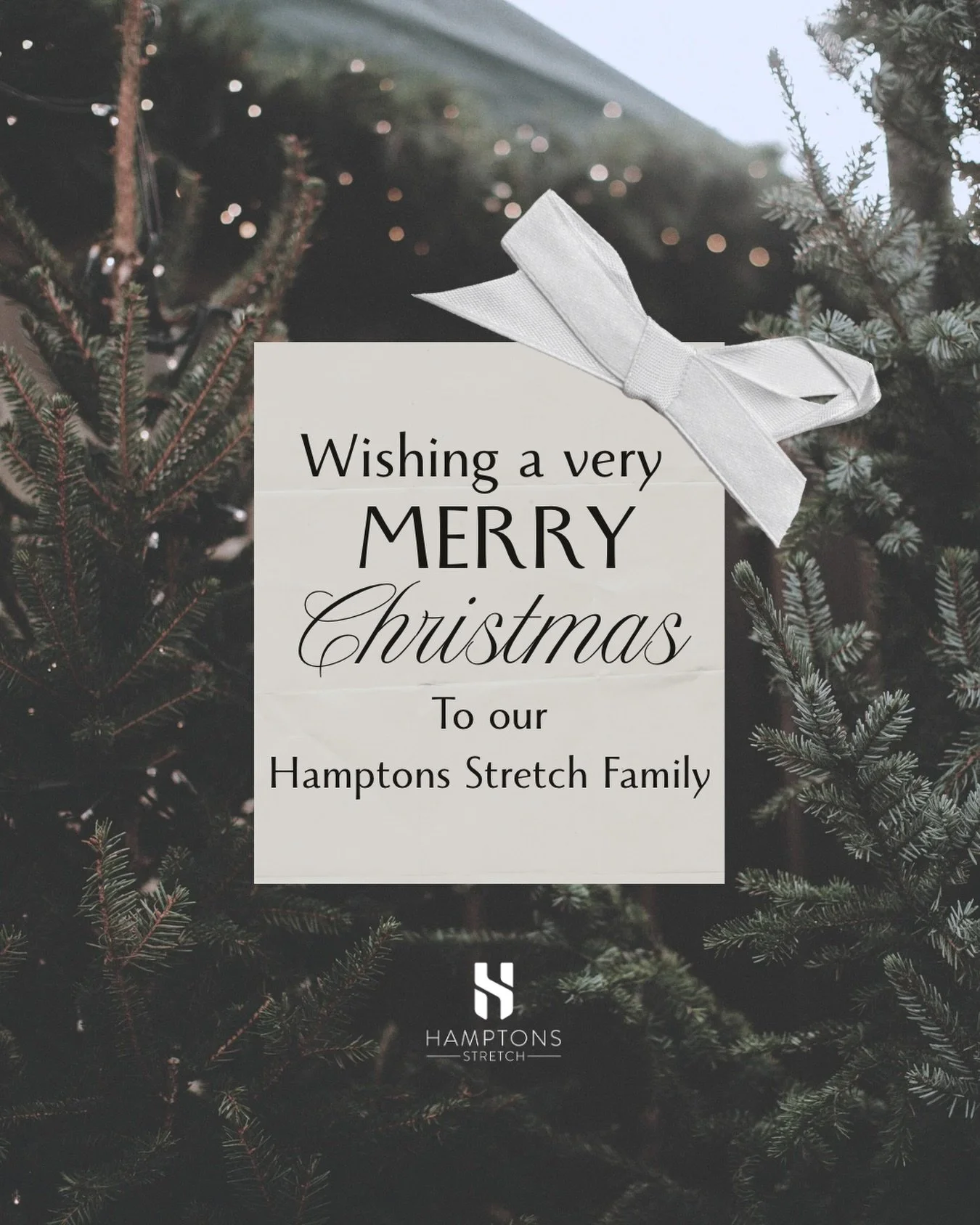 Merry Christmas &amp; Happy Holidays Hamptons Stretch Family 🌲 🎁