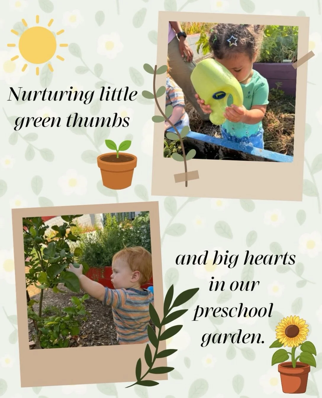 Growing little humans, one garden bed at a time. The highlight of our preschool day is seeing the joy as our children interact with nature and learn to make things bloom. Who needs toys when you have a watering can and fresh earth?

If you're curious
