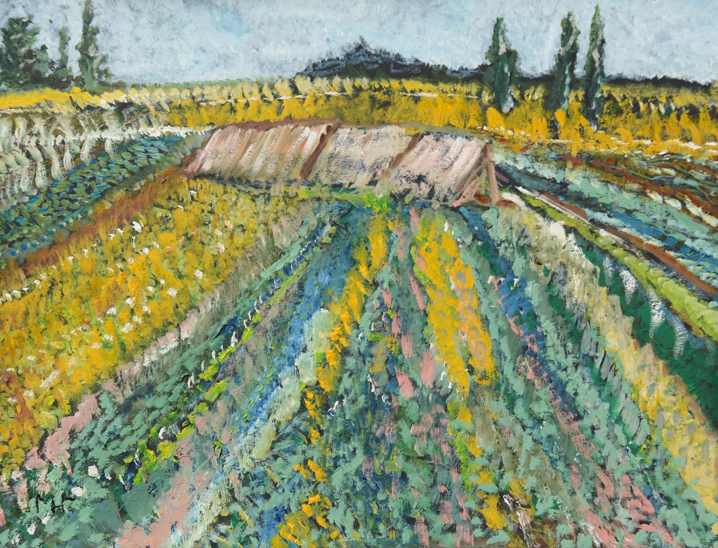 The Oshibana Field, Oil on Art Board, $200 @ 2026
Art Board:  11” x 14”   Matte:  16” x 20”   Frame:  21” x 25” 
