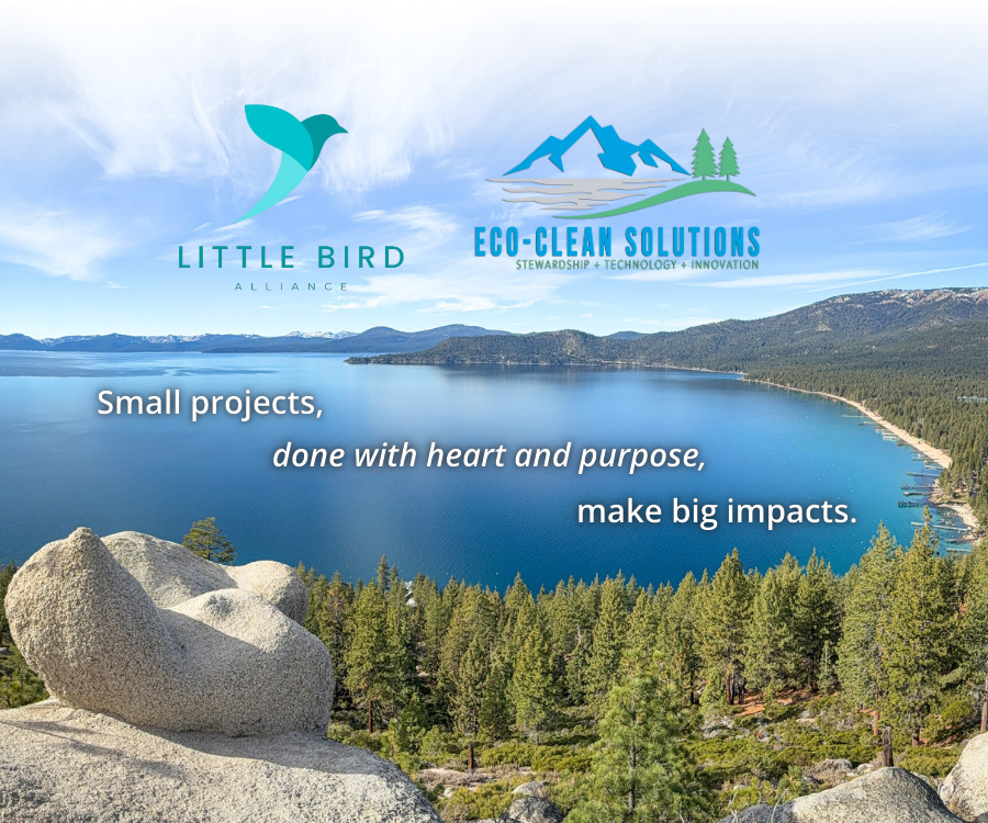 Meet Our New Nonprofit: Little Bird Alliance