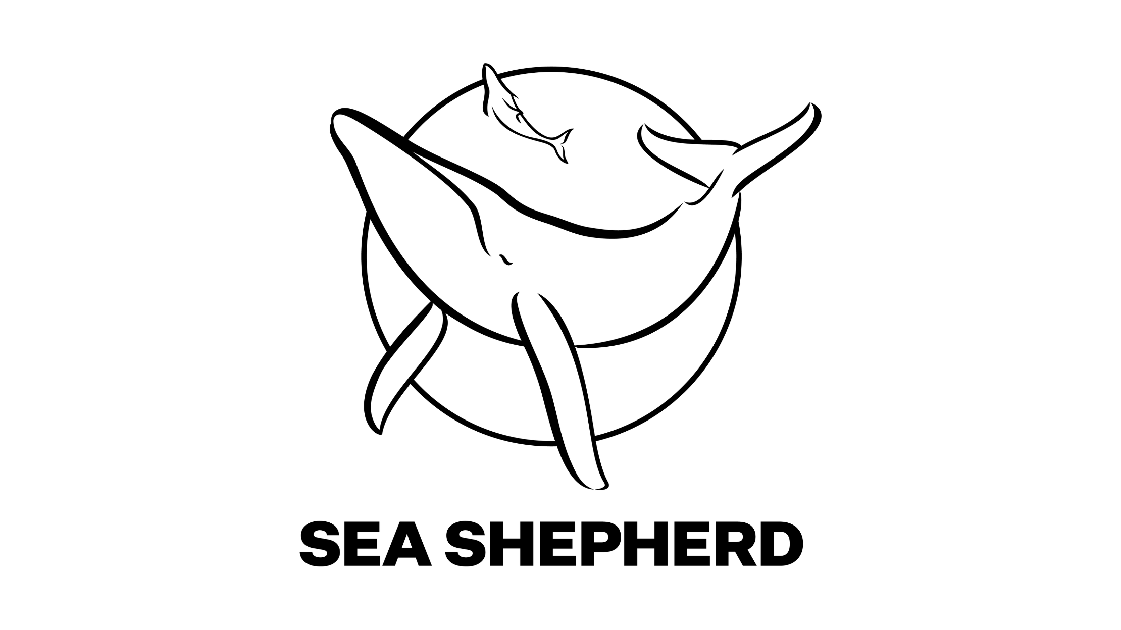 sea sepherd logo.png