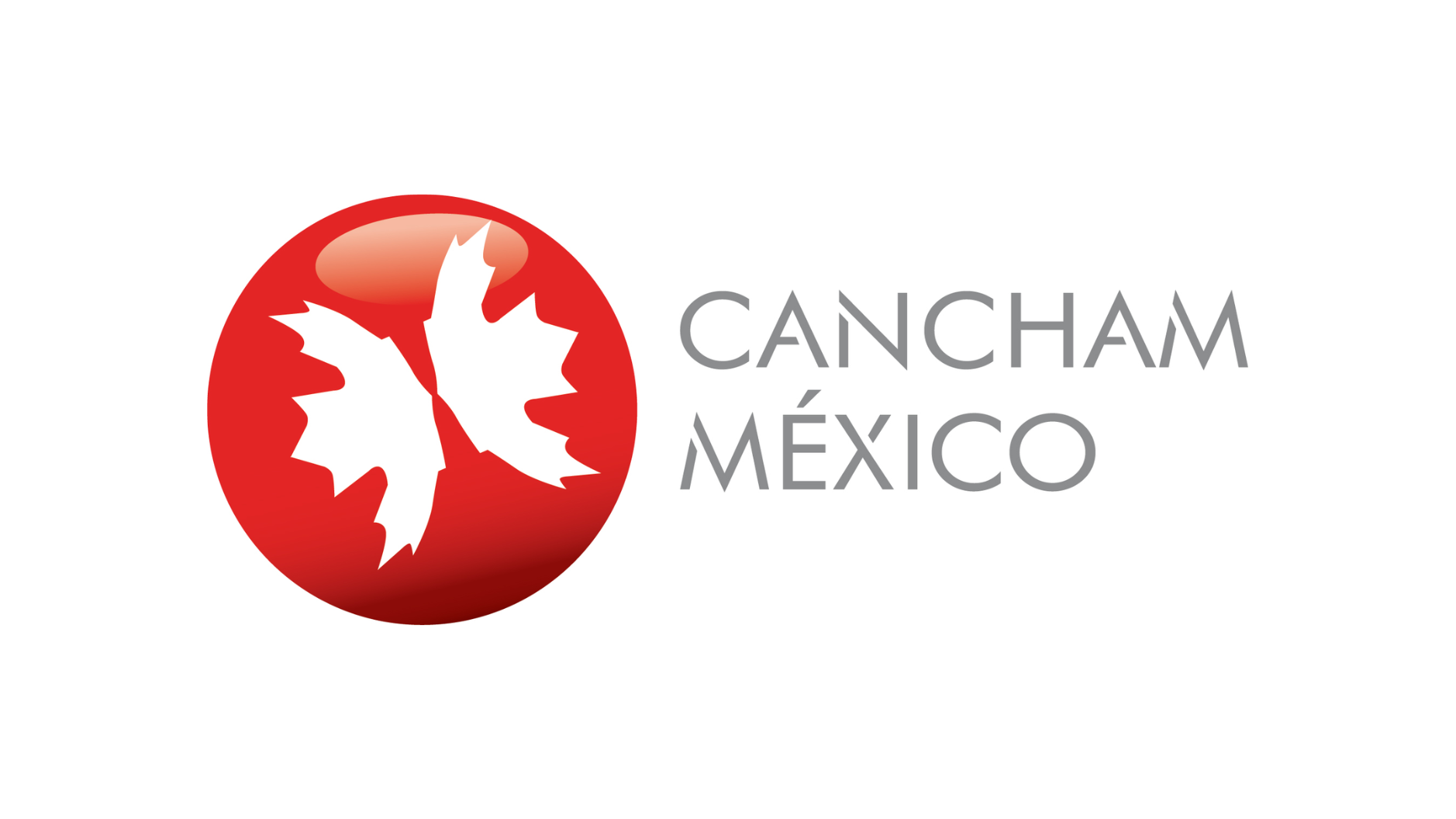 cancham logo.png