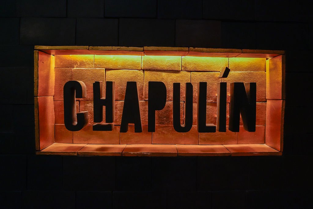 CHAP_REV-12.jpg