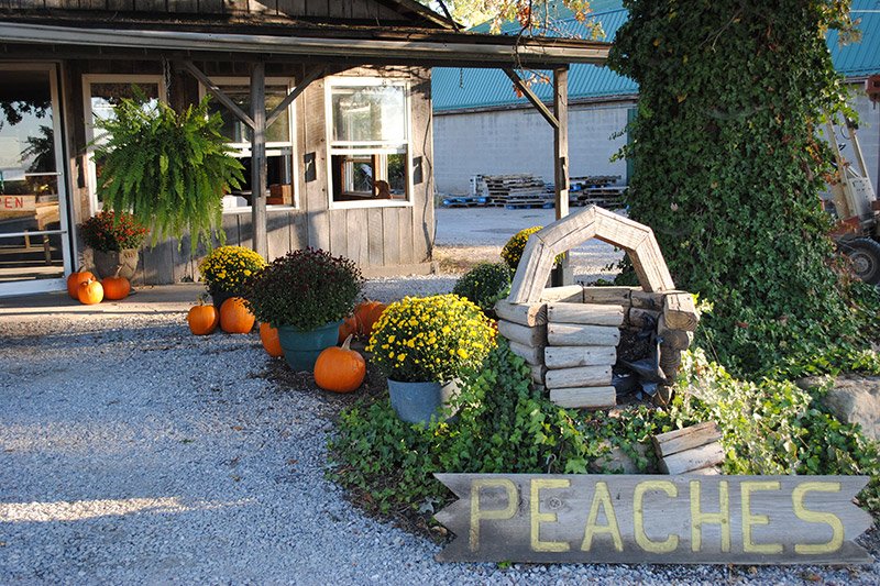 Peaches, Pumpkins and Wine