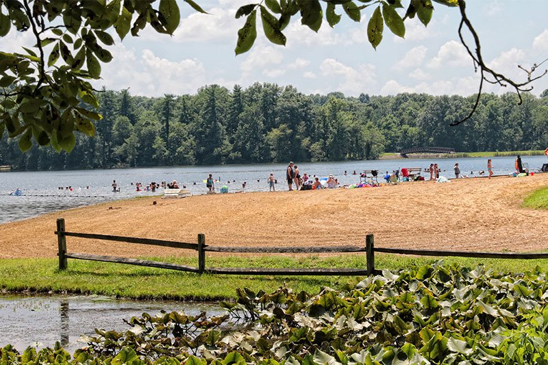 Lincoln State Park Swimming