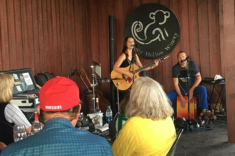 Monkey Hollow Winery Musician