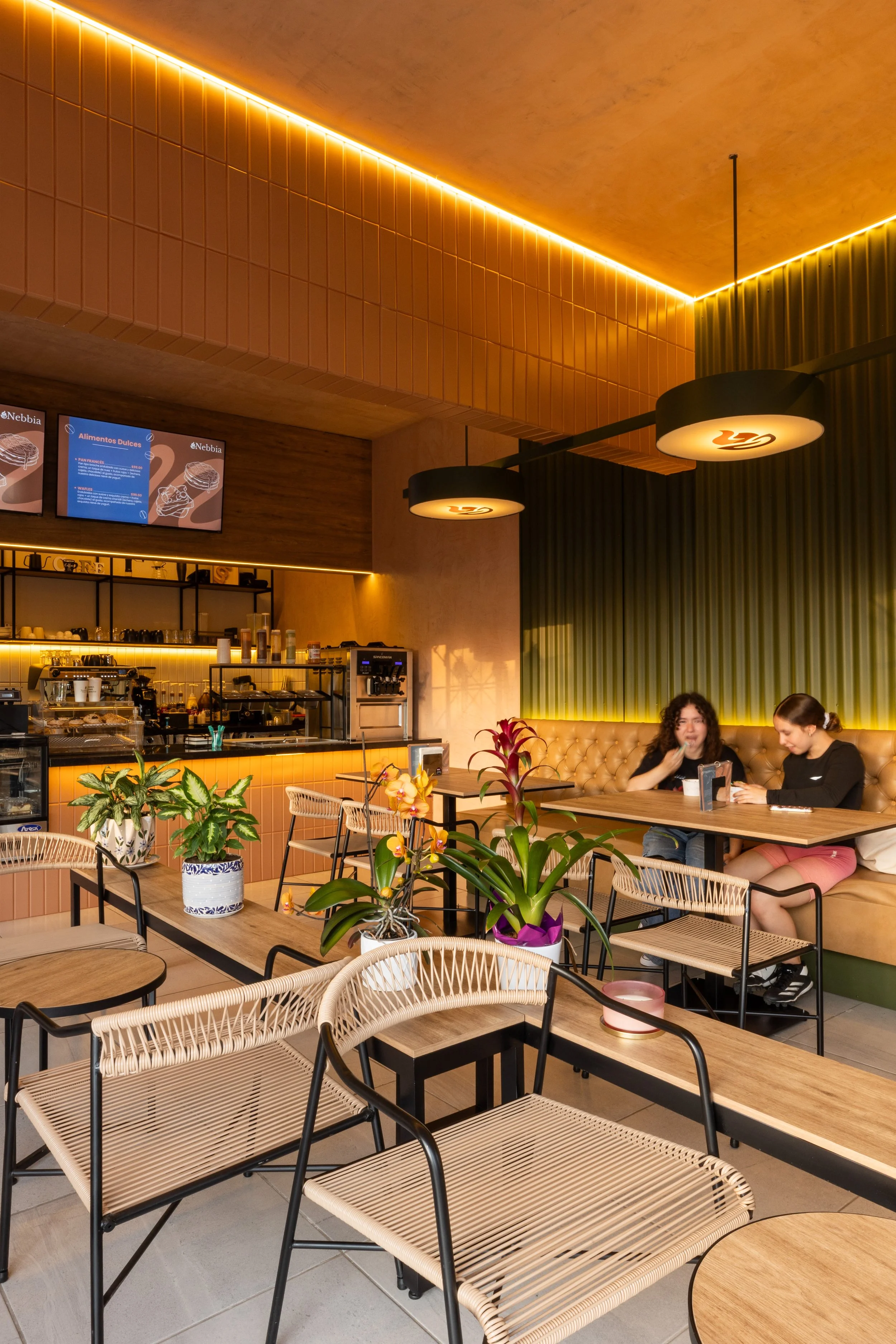 NEBBIA HELADOS Y CAFE EN  CD GUZMAN