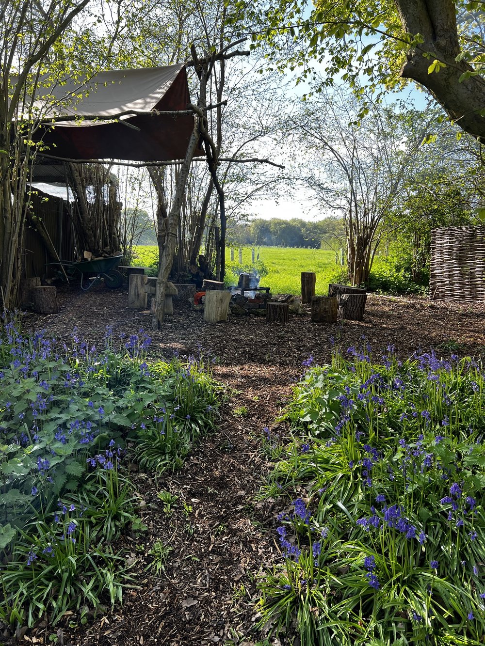 Joy-Farms-woodcarving-spoon-carving-workshop-surrey-23-014.JPEG