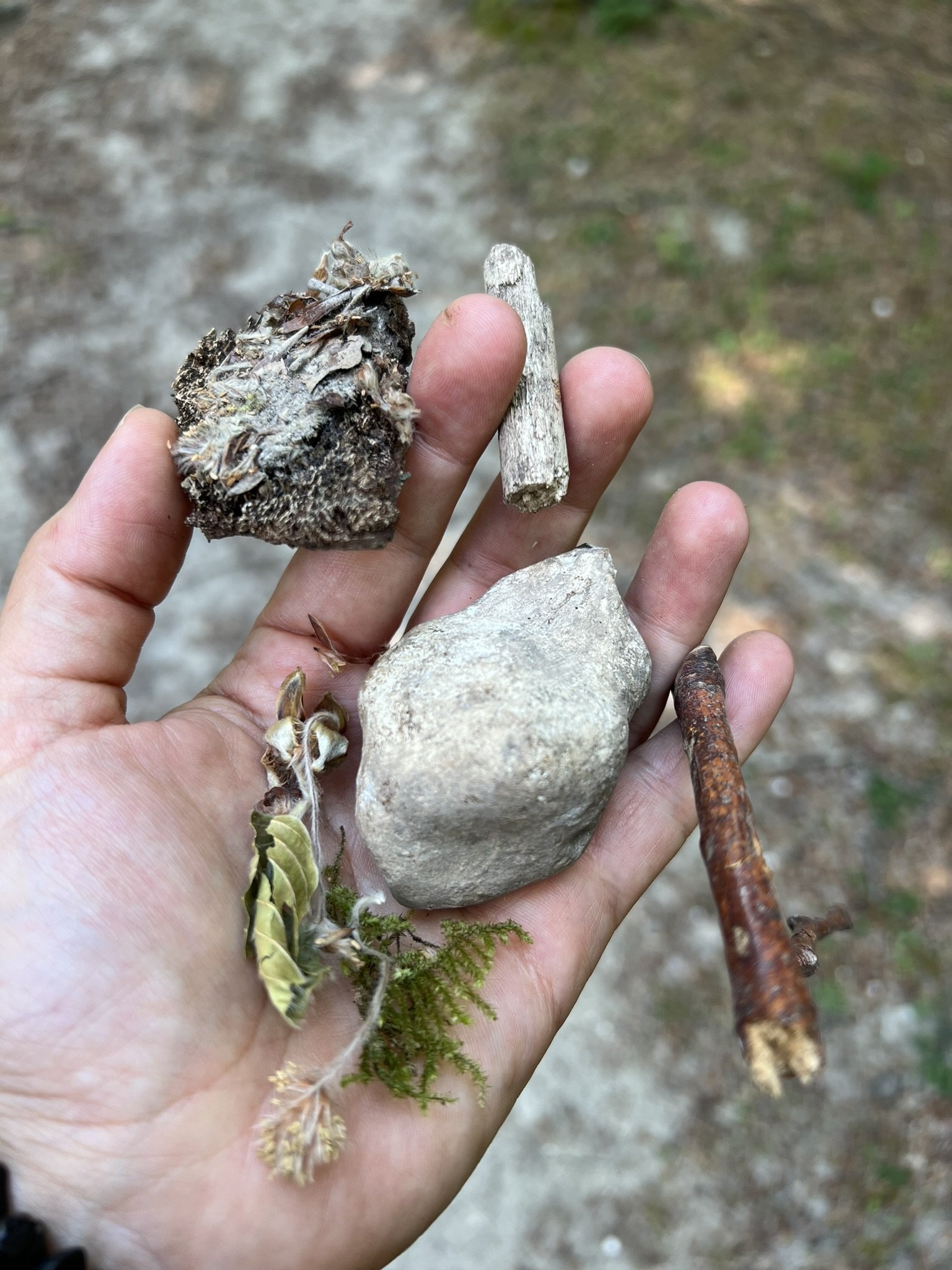 Joy-Farms-wellness-meditation-surrey-forest-bathing-lisa-683.JPEG