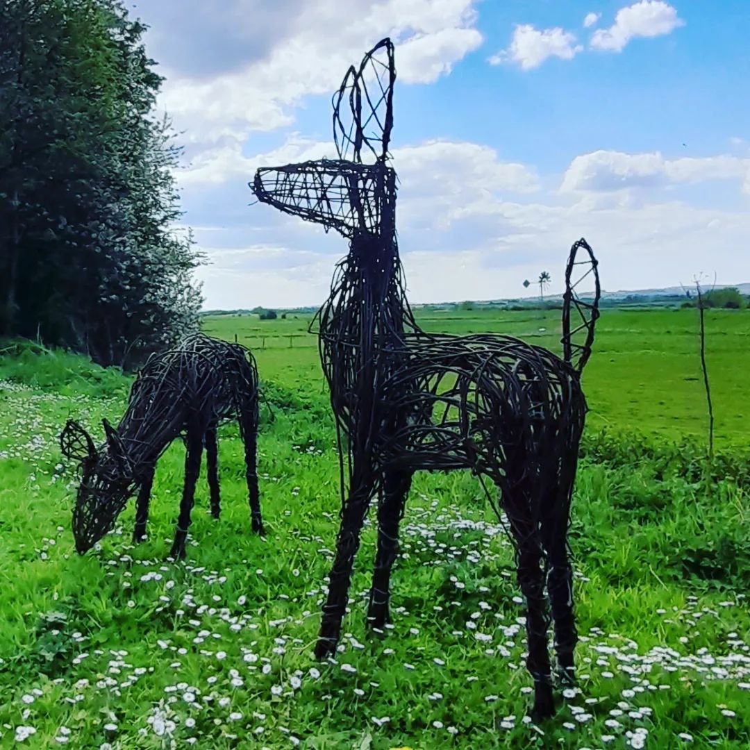 Joy-Farms-deer-willow-sculpture-making-workshop-surrey-jo-sadler-field4.jpg