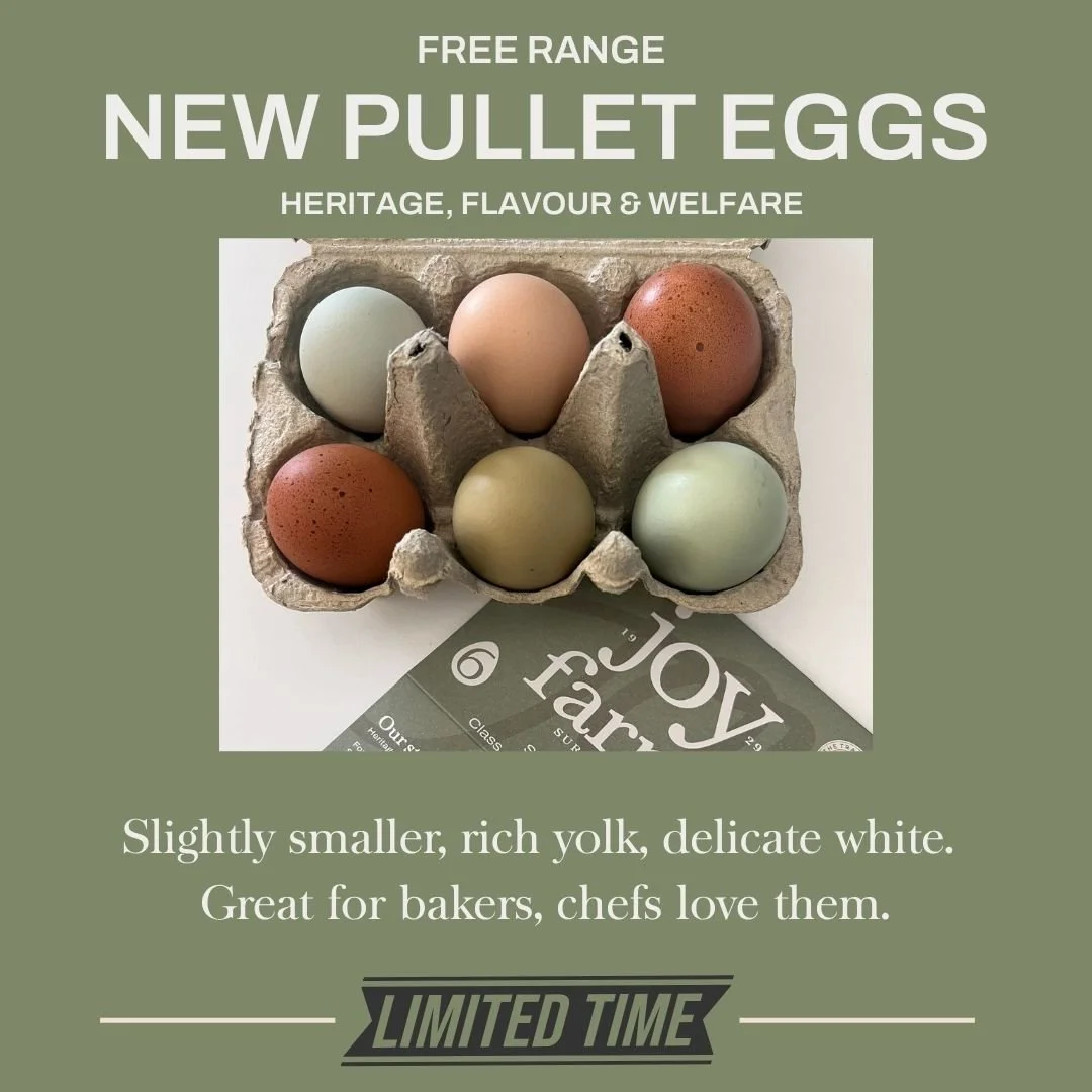 Pullet eggs Joy Farms Free Range Eggs