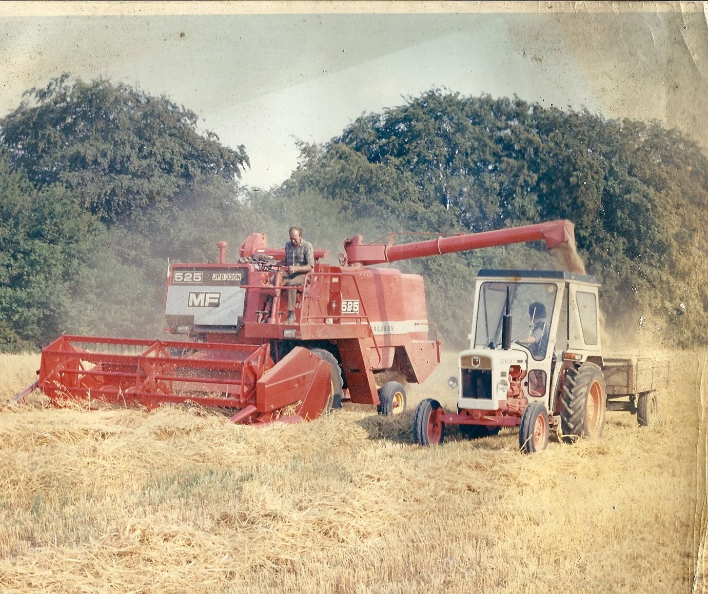 Joy-farms-surrey-free-range-eggs-hay.jpg