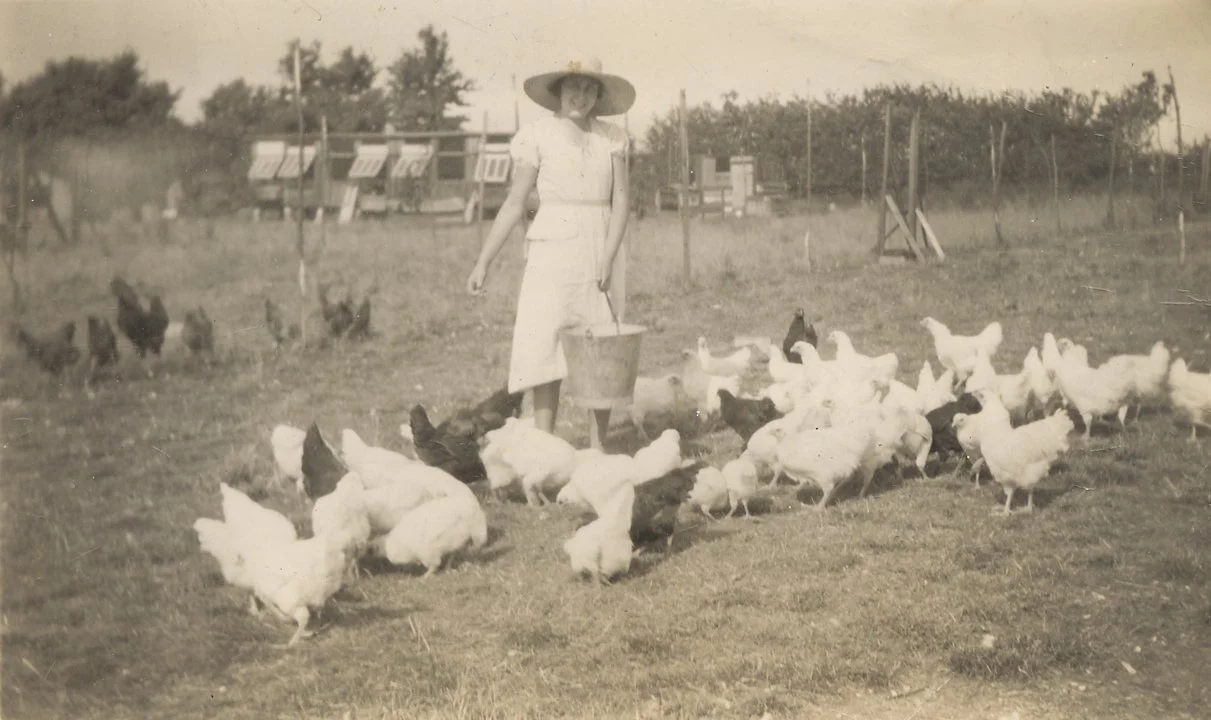 Joy-farms-surrey-free-range-eggs-gladys-joy.jpg