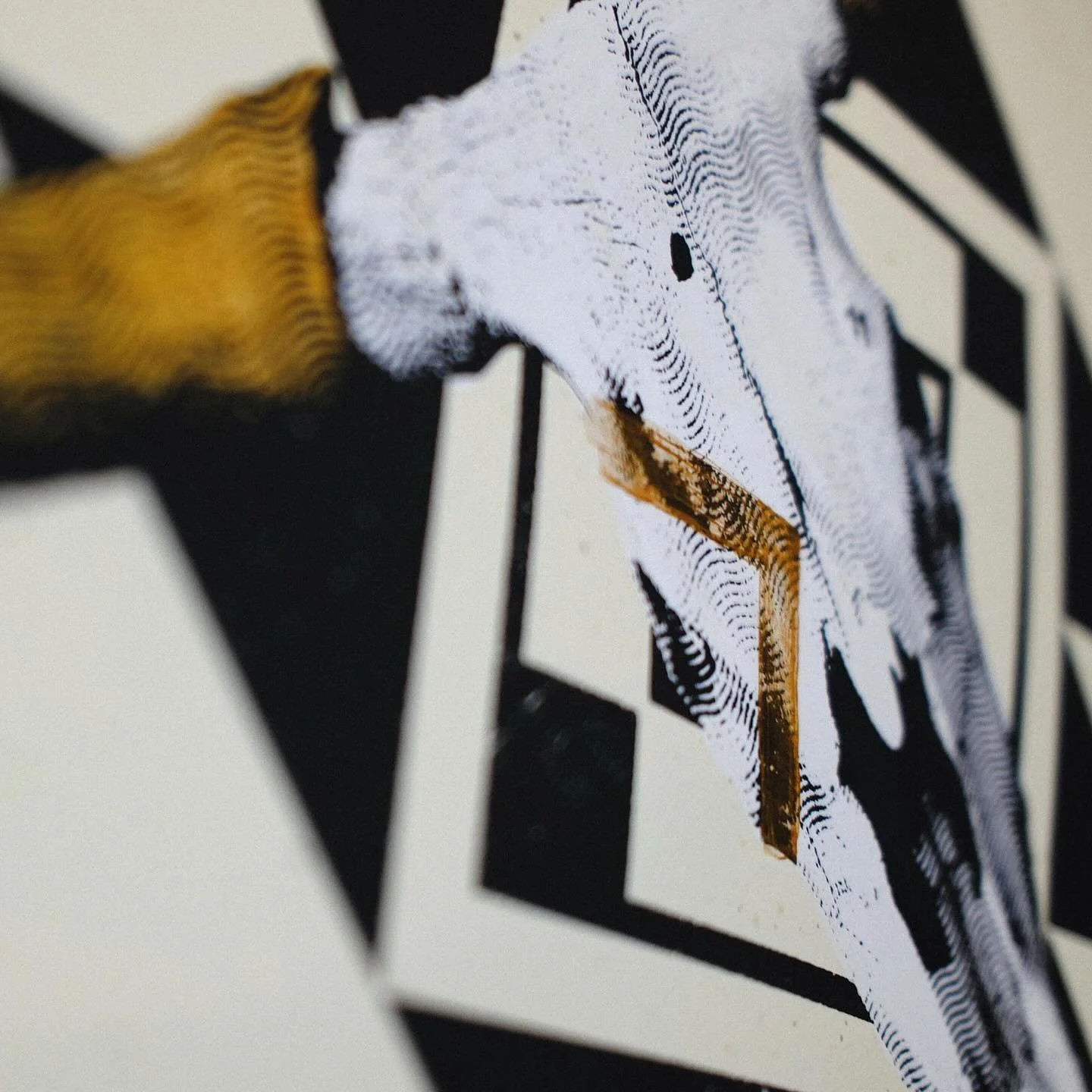 All new artwork - Show opening 09/05 6PM @ Abstract-Denver - Be there.