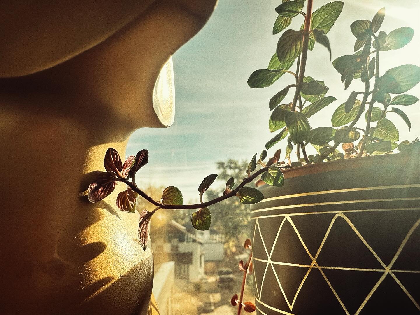 My office mates are starting to flirt with each other 💚