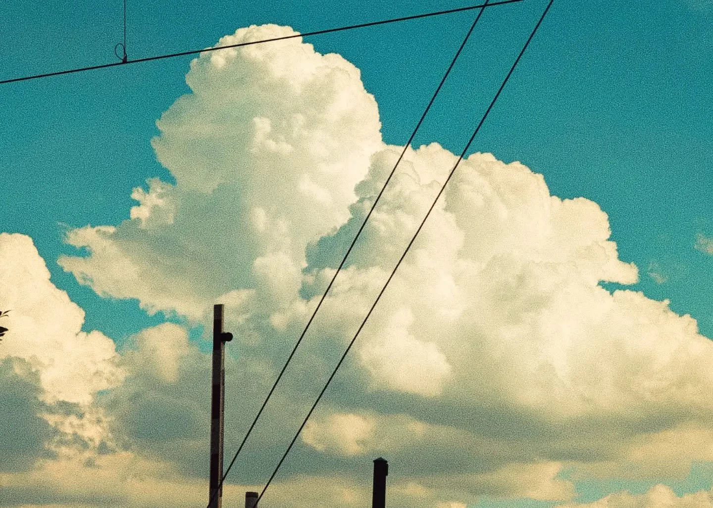 Blue skies above live wires...