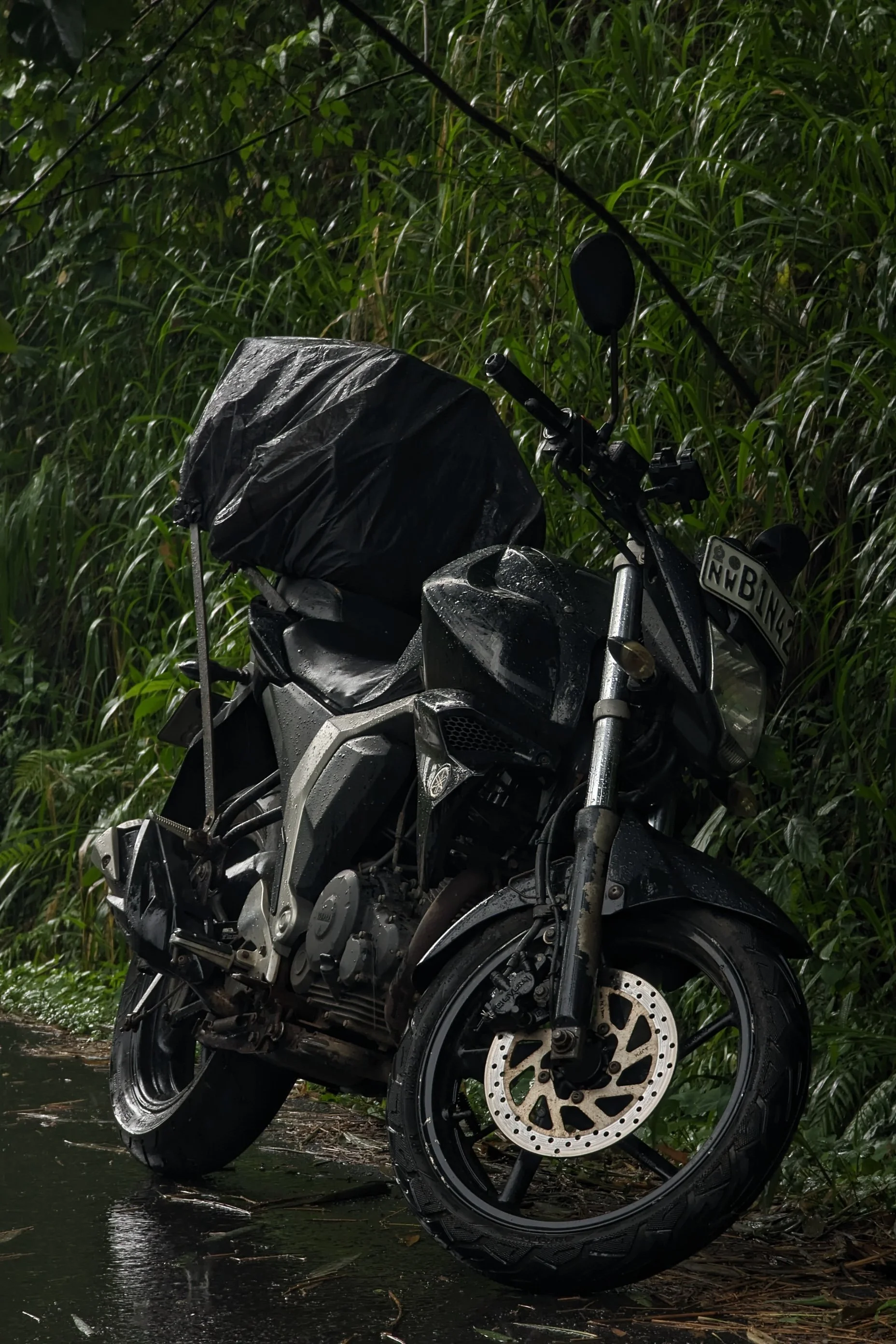 MotoVertical-6.jpg