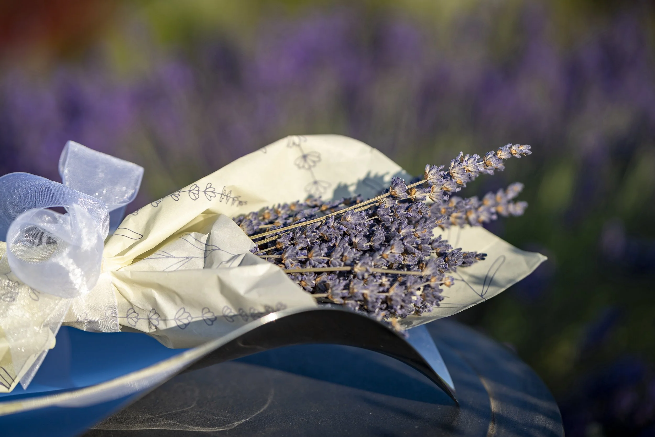 InguzRowJuly2025-5_lavender bundle.jpg