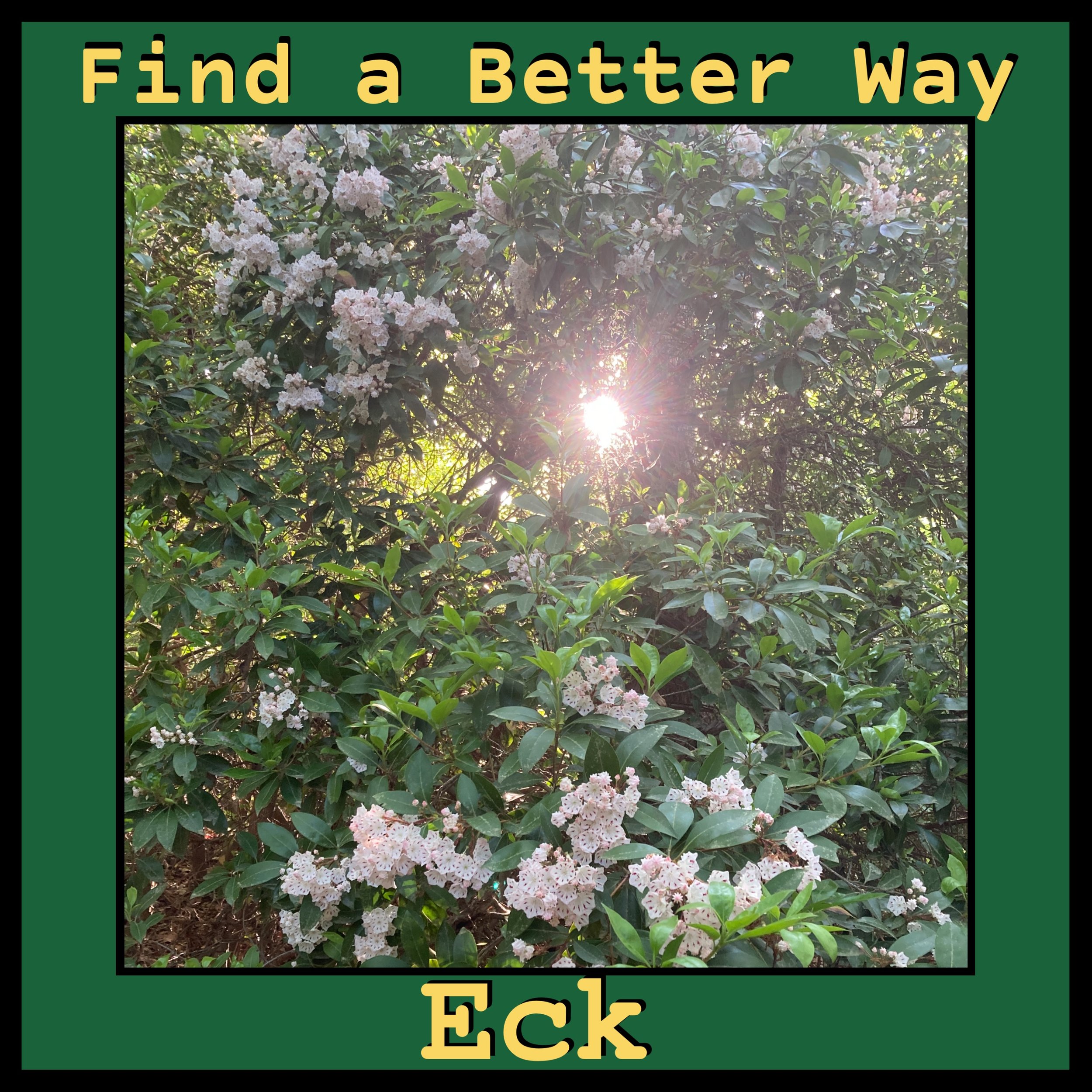 Find a Better Way - Song by Eck McCanless