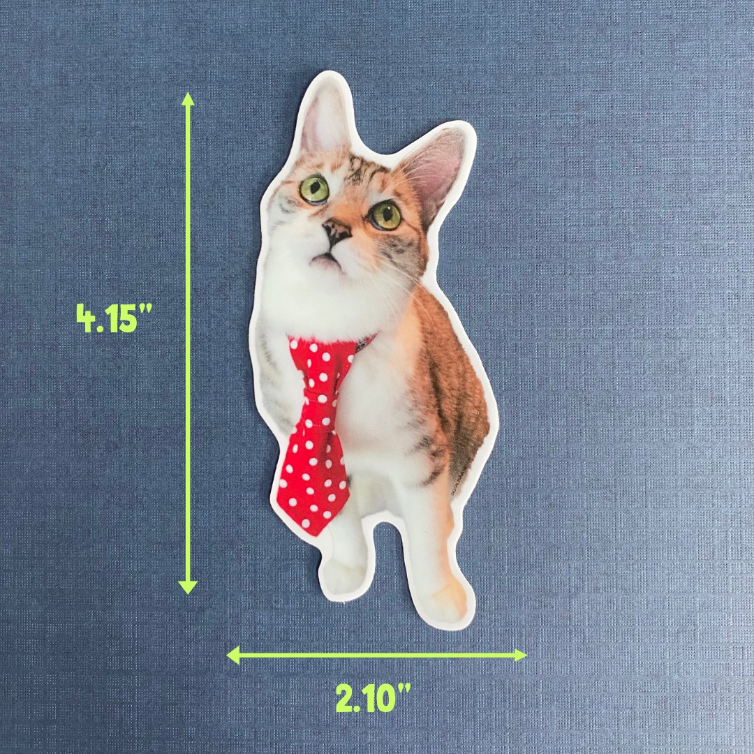 SPINNER SIZE.jpeg