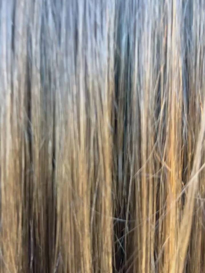 @hair.tie.hallie worked her magic and turned dull, tired strands into soft, shiny, gorgeous locks. When we say transformation, we mean it. 💖 

Ready for your own glow-up? Book with Hallie today!

#HealthyHairJourney #HallieAt554 #Salon554 #HairTrans