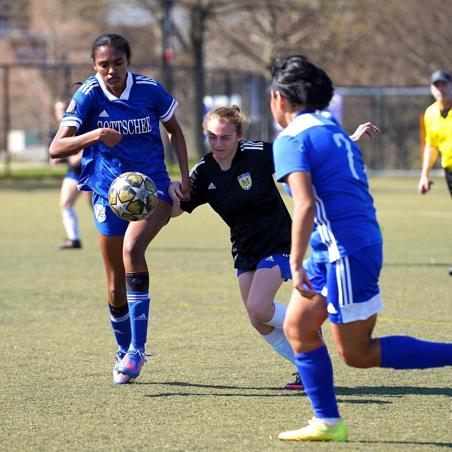 More from the #cityshowcase with BW Gottschee and Mahopac.