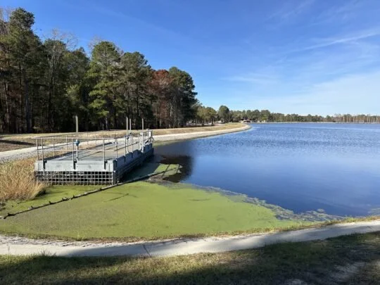 Cedar Creek