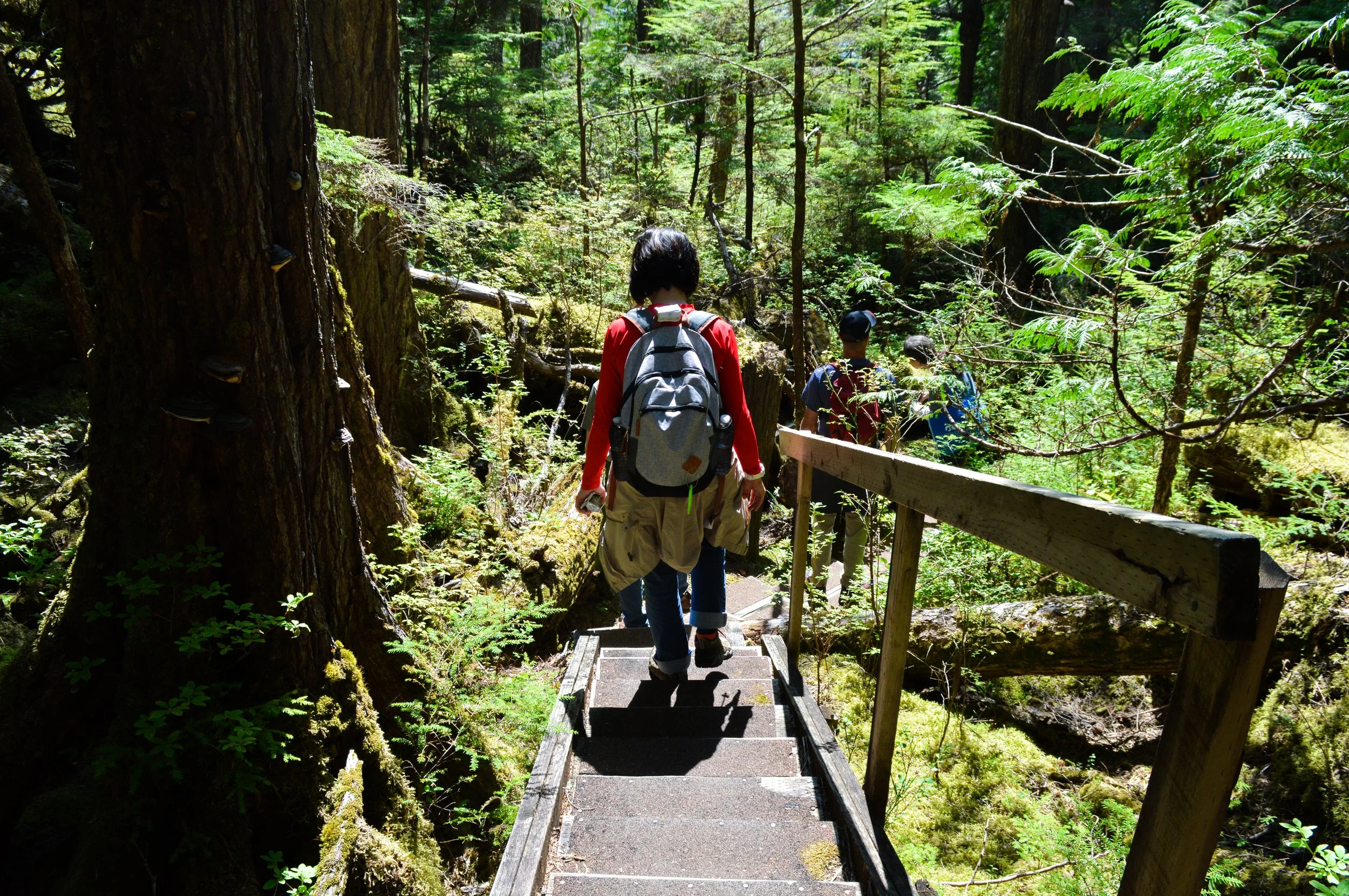 Alaska 2019-279.jpg