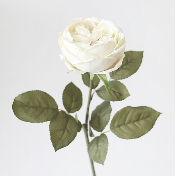 Screen Shot 2022-04-11 at 2.13.52 PM.png