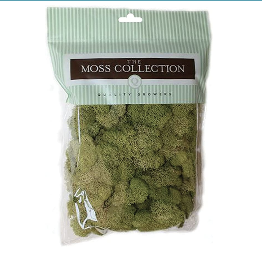 Screen Shot 2022-04-12 at 12.44.19 PM.png